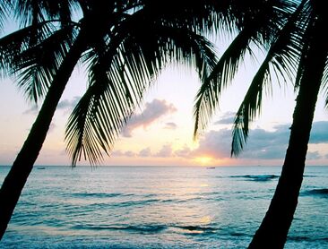 快乐学习英语的一种方法