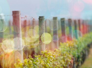 2015年6月英语四级阅读理解答题技巧