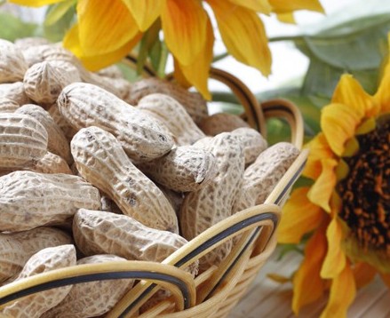 ����ɽ���仨����