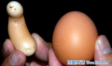 ĸ�����¼��� �����㽶