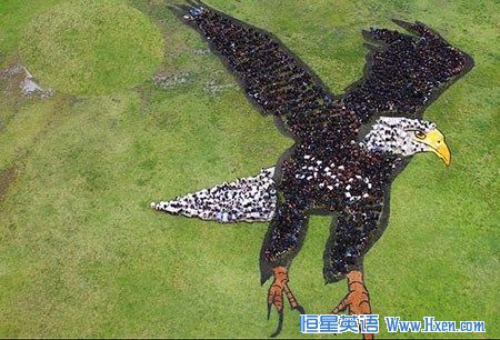 1400多名老师、学生及学生的父母组成了巨型的鹰图案 1400多名老师、学生及学生的父母组成了巨型的鹰图案