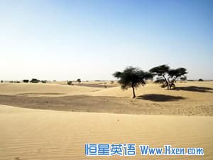 Mauritanian landscape. The photo was taken on a field trip to Mauritania led by Jan-Berend Stuut in November 2009.