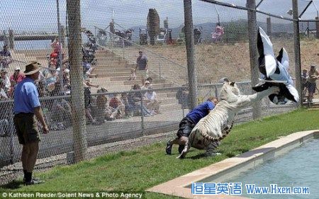 ��ά������������ת�Ƶ��׻��űߣ�׼���Ż�����