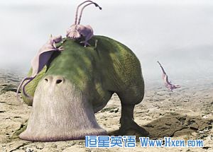 在霍金的宇宙中,生活着一种食草动物 在霍金的宇宙中,生活着一种食草动物