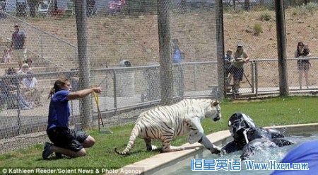 �׻��ɹ�ת��Ŀ�꣬��ά����������