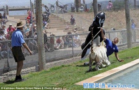 ��ά����Ӧ�ܿ죬���������е��Ǹ�����������ת�ư׻���ע������