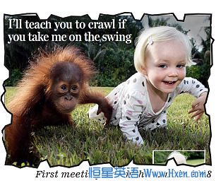 �������С���ɡ���ʲ����ʶ