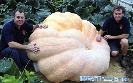 ˫��̥�ֳ�ʷ�ϡ�����Ϲϡ�