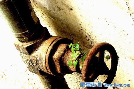 ������ʱ��һ����Ҫ���˻���ϣ��