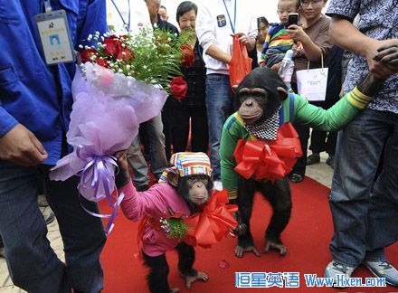 һ�Դ����ɡ����ˡ��ںϷʾٰ����