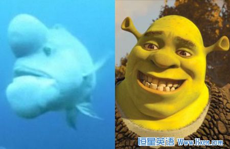 һ��������ͷ��������������ò����������������ʷ���ˡ�