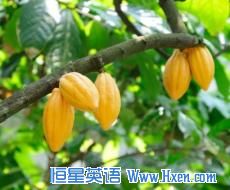 Each year farmers lose about a third of their harvest to pests and fungal diseases. The genome data is expected to help relieve the problem.