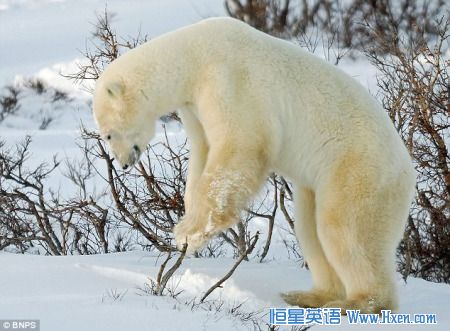 �ɰ�������ϴ���1