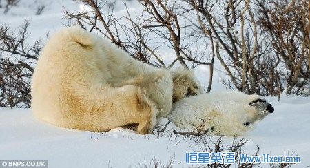 �ɰ�������ϴ���(4)