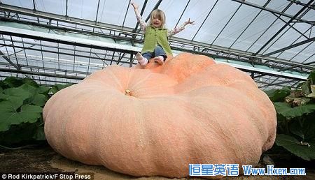 Ӣ���ֵ��ֳ������Ϲ�