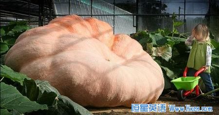 Ӣ���ֵ��ֳ������Ϲ�