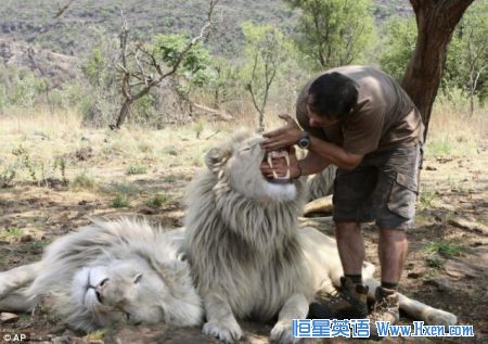 ����-����ɭ���Լ��İ�ȫ��������