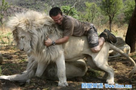 ����ѱ���е� ��������ʨ���϶���