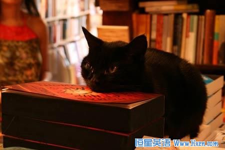 ��ʥ���ٽ� ��è��������