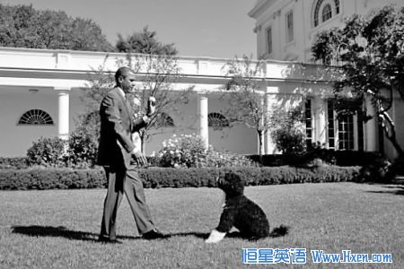 �°�������������һ����