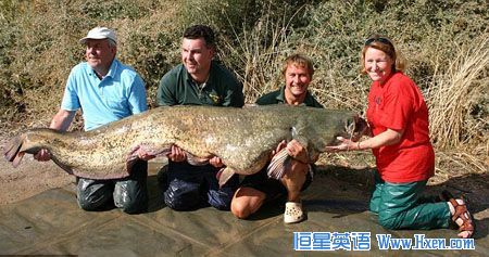 Ӣ�����Ӹ�Ů������ٹ���������