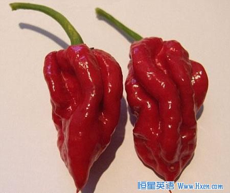 Ӣ������������������������ ��������Ȫӿ