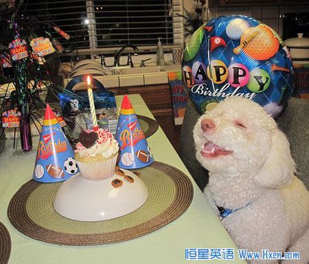 ��Ц�Ĺ��������ޡ�����