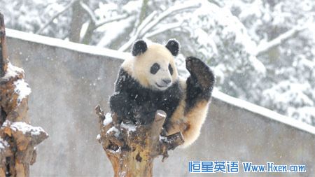 ����ᡱ��è