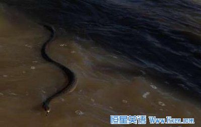 ���޺������������ߵȷ׷׳���