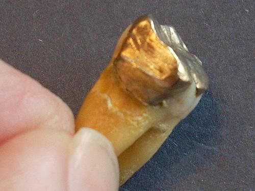 ����������ǹ�� ���н�����ס�ӵ�