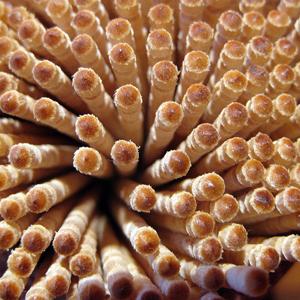 Toothpick manufacturing is not a big part of the nation's gross national product.  But several companies - including some in Wisconsin, in or close to its many lumber plants - make them.  
