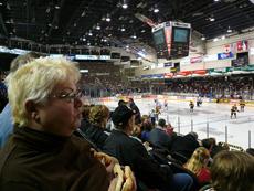 Great seats!  They cost a pretty penny, and probably additional ones for ��convenience charges�� and other fees. 