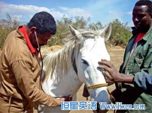 Keeping Equine healthy is a necessity