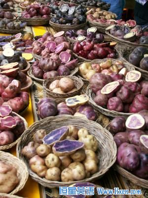 Diverse varieties of potatoes on sale in Cuzco, Peru. 