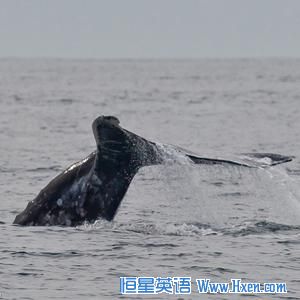 Going after one of these? It had better not be in Utah. 