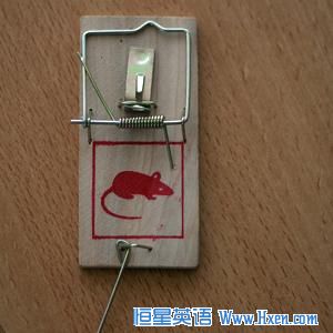 This may be the proverbial 'better mousetrap,' but you��d best hope you don��t catch anything in it in California.  