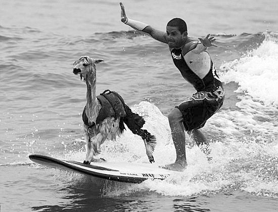 ��������������մ