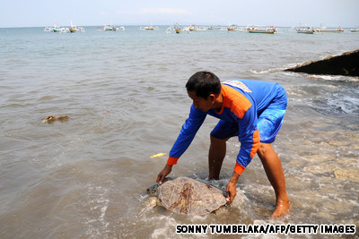 印尼巴厘岛,Benoa 印尼巴厘岛,Benoa