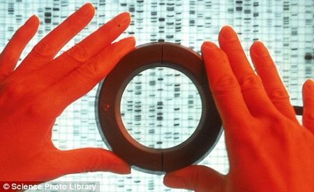 ���Ӱ�С�˻�����������֮��