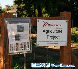 Up until a few years ago, this MercyCorps Northwest farm plot in southeast Portland, Oregon, was a vacant lot.