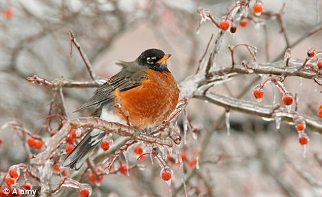 ������25��40��ǰ���������������