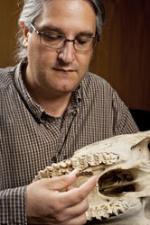 Jonathan Bloch of the Florida Museum of Natural History