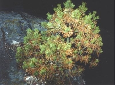 2.��Լ��������干�͹�