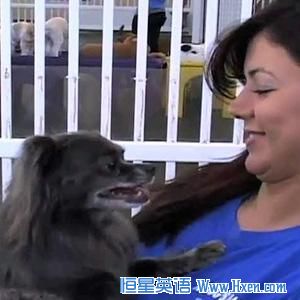 At &ldquo;A Dog&rsquo;s Day Out&rdquo; in Alexandria, Virginia, people bring in their dogs to stay either for the day or overnight. 