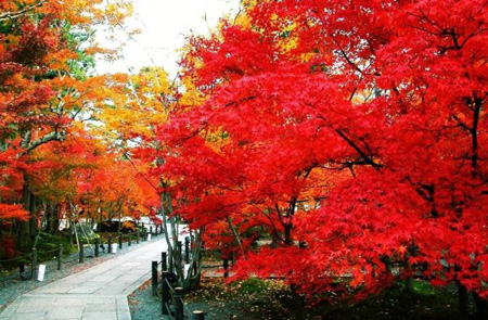 ��ˢ��������ĺ�Ӱ