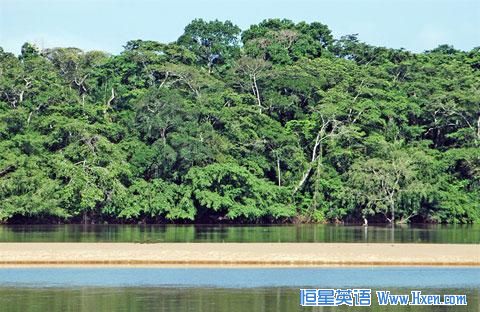 dzanga-ndoki-national-park