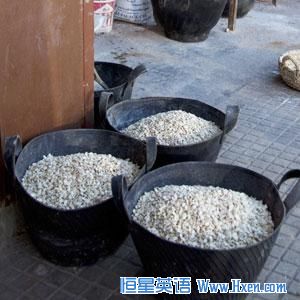 IFPRI_baskets