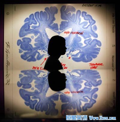 ѵ��������