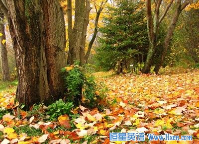 80��ʱ����ڵ�7����