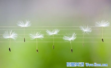 û˻֪